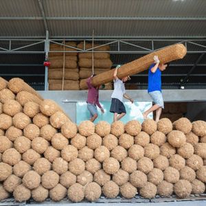 TRENDING <b>NOW</b> Coir Log For Slope Stabilization And Water Channel Protection Clean Coconut Fiber Product - Product Image 2