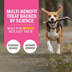 Friandises pour chiens en forme d'os au calcium biologique, à mâcher, vente en gros d'usine, OEM, marque privée, pour la santé dentaire et osseuse durable - Product Image 6