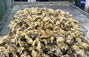 สกินปลาแซลมอนทอดกรอบผิวไข่เค็มจากเวียดนาม - Product Image 3