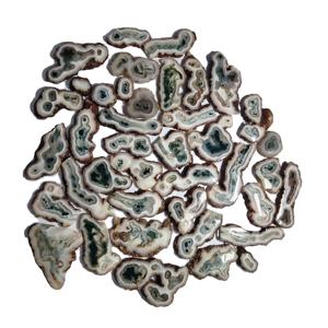 Ágata Musgosa Natural en Rodajas Pulidas, Piedras Preciosas Sueltas de Formas Mixtas 20-45mm 8-12g para Fabricación de Joyas al por Mayor - Product Image 1