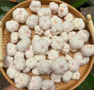 Mangostán Liofilizado Natural de Vietnam, Bocadillo de Fruta Exótica Crujiente para Aplicaciones de Fabricación de Alimentos - Product Image 6