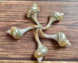 Cuchara de concha de lujo hecha a mano de nácar natural para servir alimentos delicados con ecológico por 99 Gold Data - Product Image 6