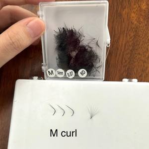 Extensiones de Pestañas Clásicas Voluminosas 3D-8D, Pelo Sintético Hecho a Mano, Negro Mate, Curvatura CC/DD/L/M, Servicio OEM, Logotipo Personalizado - Product Image 5