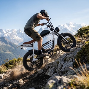 Vélo électrique à gros <span class=keywords><strong>pneus</strong></span> écologique à émissions zéro, vélo électrique <span class=keywords><strong>vert</strong></span> pour un transport urbain durable - Product Image 1