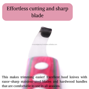 Fournisseurs d'équipement de maréchal-ferrant en acier inoxydable Outils de coupe de sabot de couteau à lame droite pour chevaux Pakistanais fabriqué sans rouille. - Product Image 4