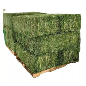 Foin d'alfalfa pour les distributeurs, alimentation en vrac pour le bétail destinée aux sociétés de commerce agricole international - Product Image 3