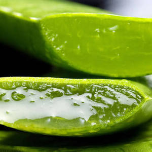 Extracto Puro de Aloe Vera |   Extracto de Plantas Herbales Naturales en Polvo |   Suministro a Granel de Grado Cosmético, Alimentario y Nutracéutico - Product Image 5