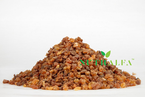 Mol ขนาดถั่วยางไม้หอมเกรดบริสุทธิ์ - Product Image 4
