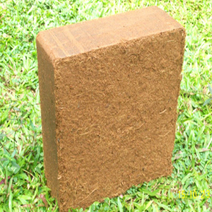 Substrat de culture bien drainé, milieu sain pour les racines des plantes, blocs de cocopeat organique à base de fibre de coco - Product Image 3