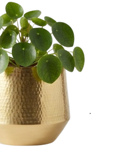 Pot de fleurs décoratif de taille moyenne en finition dorée, pour plantes de jardin, pots à fleurs et jardinières en métal, intérieur et extérieur - Product Image 5