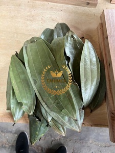 Vietnam High Quality Wholesale Single Spices Herbs Dried Raw Cassia Cinnamon Leaf 100% Natural Cheap Price Takimex Model Jenny - Product Image 2