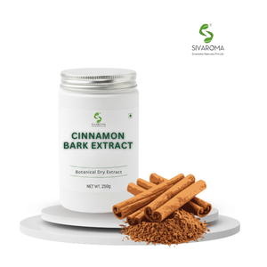 Extracto de Canela de Primera Calidad, Suministro a Granel para Fabricantes Globales y Soluciones de Producción de Ingredientes Industriales - Product Image 3