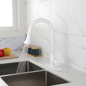 Rubinetto da Cucina a Doppia Maniglia in Acciaio Inox 304, Finitura Lucida, con Doccetta Estraibile, Superficie Bronzata - Product Image 4