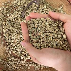 Bebidas de Café Robusta y Arábica de Alta Calidad, Granos Orgánicos Verdes y Tostados, Venta Directa al por Mayor, Grado 1 - Product Image 6