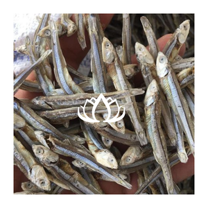 Anchois séchés de haute qualité IQF, emballage en vrac, écologique, nutritif, pour la transformation alimentaire, bouillon, vente en gros - Product Image 1
