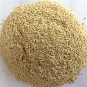 Poudre d'ail de qualité supérieure pour assaisonnement et cuisine, poudre d'ail déshydratée de qualité alimentaire, vente en gros, exportation en vrac, Inde - Product Image 4