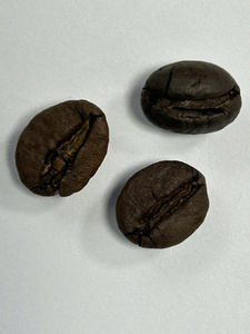 Bulk Supply Roasted <b>Coffee</b> <b>Beans</b> Export Quality <b>Robusta</b> <b>Beans</b> Bold Body Low Acidity for Instant <b>Coffee</b> Production - Product Image 5