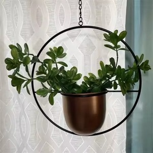 Modern Minimalist Metal Wall Hanging Planter with Gold Pots for Indoor Green <b>Plants</b> Elliptical Design Powder Coated Finish - Product Image 6