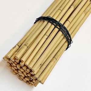 Vietnam supplier eco-friendly materials for <b>gardening</b> natural bamboo pole sticks raw <b>cane</b> poles - Product Image 6