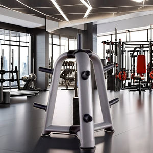 ชั้นวางแผ่นน้ำหนัก อุปกรณ์ฟิตเนส ยิม เพาะกาย <span class=keywords><strong>ต้นไม้</strong></span>เก็บแผ่นน้ำหนัก - Product Image 4