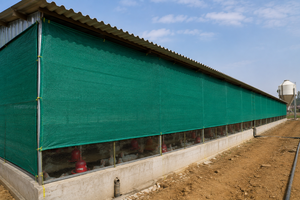 ตาข่ายบังแดด HDPE สีเขียวสำหรับฟาร์มสัตว์ปีก ตาข่ายบังแดด HDPE ป้องกันรังสียูวีสำหรับฟาร์มสัตว์ปีก แบบอัดรีด - Product Image 3
