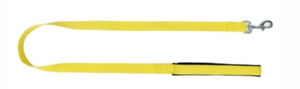 Premium Quality Nylon <b>Dog</b> <b>Leash</b> for Outdoor Training and Walking from Divine International - Product Image 3