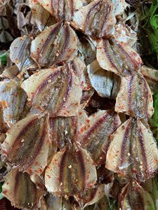 Vietnam Origin Dried Yellow Stripe Trevally <b>Fish</b> & Salted <b>Fish</b> for Global Wholesale - Product Image 1