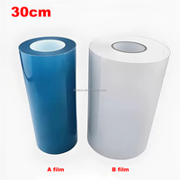 Mini Impresora UV DTF Automática IUV03N01 DX7 para Pequeñas Empresas, Nueva, 1 Año de Mantenimiento Gratuito, Opción de Software RIP