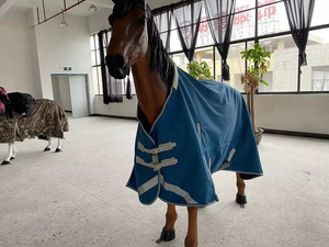 Custom Solid Breathable Waterproof Horse <b>Rug</b> with Nylon Lining and Mesh Shell Comfortable Durable Printed Summer Winter Sheet - Product Image 4