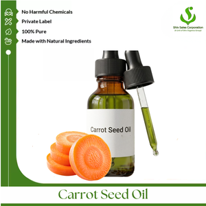 Fournisseur en gros d'huile de graines de carotte pure, proposant des huiles essentielles de qualité pour la fabrication de produits cosmétiques internationaux - Product Image 1