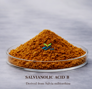 Suministro directo de fábrica HGO de extracto de Salvia miltiorrhiza natural puro (grado alimenticio saludable) Especificación ácido salvianólico B 1% - Product Image 1
