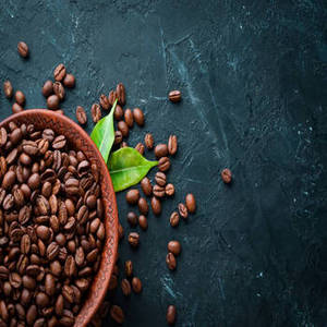 Granos de Café Indio Frescos de Primera Calidad, Cuidadosamente Clasificados, Nueva Cosecha, Mezcla Arábica, 100% Puro, Tueste al por Mayor Internacional - Product Image 3