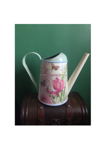 L'eau galvanisée peinte en émail artistique peut ajouter de l'éclat aux balcons des patios de jardin et aux collections de plantes d'intérieur d'intérieur - Product Image 5