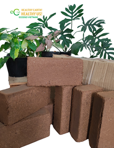 Bloque de Turba de Coco de Bajo Contenido de Cloruros (EC) de Primera Calidad al por Mayor, Medio de Cultivo Natural de Coco para el Acondicionamiento del Suelo y el Crecimiento Saludable de las Raíces - Product Image 6