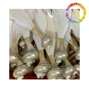 Premium natural shell spoon mother of pearl for dessert serving and elegant <b>dining</b> <b>table</b> use - Product Image 5