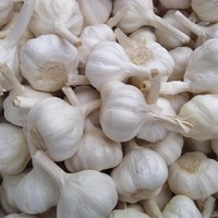 Ail frais biologique 6,0 cm, blanc pur, qualité supérieure, nouvelle récolte, Chine, emballage de 10 kg, durée de conservation de 24 mois