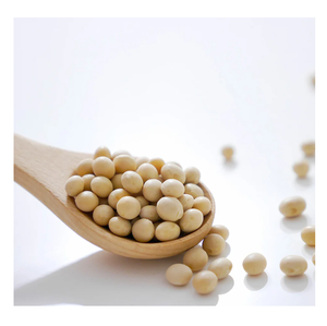 Fèves de soja séchées de qualité supérieure, fèves de soja, soja biologique, prix de gros, fournisseur - Product Image 5