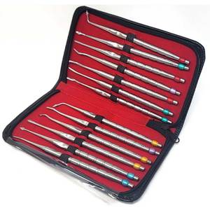 Orthopedic Dental PDL Luxating <b>Elevators</b> Set 13-Piece Root Tip Extracting Instruments Stainless Steel Surgical Extraction Tools - Product Image 6