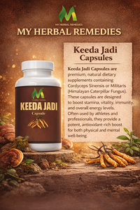 Cápsulas de Extracto Herbal Keeda Jadi, Extracto de Cordyceps Sinensis en Polvo Botánico 500mg, 60 Cápsulas, Suministro al por Mayor OEM, Marca Privada - Product Image 4