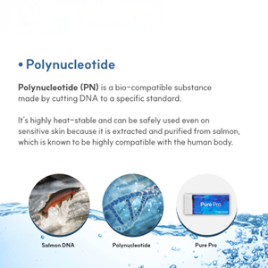 Sérum hydratant avancé à l'acide hyaluronique PN pour booster l'élasticité de la peau, éclaircir et soigner les pores – Cosmétique coréen - Product Image 6