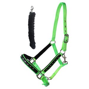 Premium Nylon Horse <b>Halter</b> with Solid Brass Buckles Adjustable Heavy-Duty Equestrian Headstall - Product Image 5
