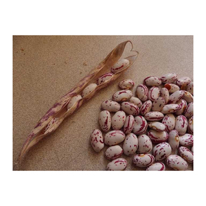 ถั่วไตคุณภาพสูง บรรจุภัณฑ์สำหรับขายส่งอาหารและตลาดค้าปลีก - Product Image 1