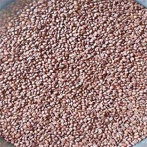 Café Arabica Indien Torréfié en Grains, Qualité Supérieure, Emballage 1kg pour Marchés d'Exportation en Gros, Développement de Marque Privée Personnalisé - Product Image 4