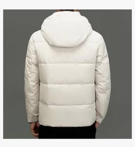 Veste matelassée à capuche pour homme, imperméable, coupe-vent, hiver, rembourrée, fermeture éclair intégrale, chaude, isolée, décontractée, pour l'extérieur - Product Image 2