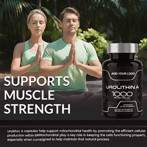 Bulk Supply OEM Service Urolithin a <b>Supplement</b> Urolithin a Capsules for <b>Healthcare</b> <b>Supplements</b> for Adult for overall wellness - Product Image 5