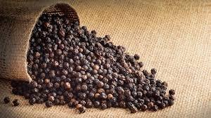 พริกไทยดำเม็ดใหญ่สำหรับอุตสาหกรรมแปรรูปเนื้อสัตว์ - Product Image 4