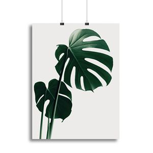 Stampa su Tela o Poster con Cornice in Legno Naturale Monstera 16, Decorazione Casa Elegante e Resistente - Product Image 1