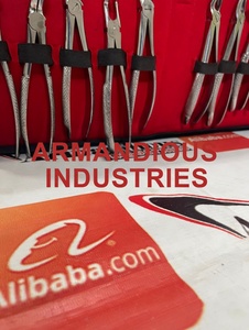 High Quality Reusable Stainless Steel <b>Cow</b> Horn Forceps for Lower Molar Dental Extraction in Large Animal by ARMANDIOUS - Product Image 3