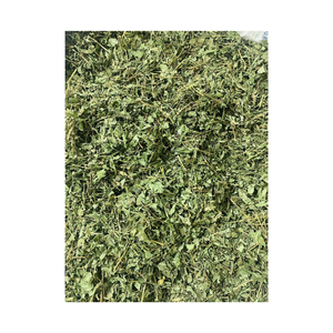 Hojas de Stevia Secas, Hoja Entera Cruda, Hierba Natural, Especias y Hierbas Individuales, Ingrediente de Té de Stevia Rebaudiana Verde, Vietnam - Product Image 3