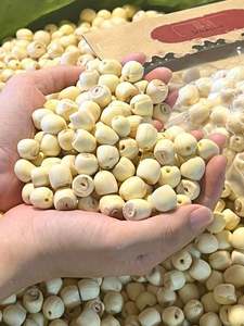 Graines de lotus entières séchées, prix usine, haute qualité, pour thé ou boisson après mélange avec de l'eau - Product Image 6